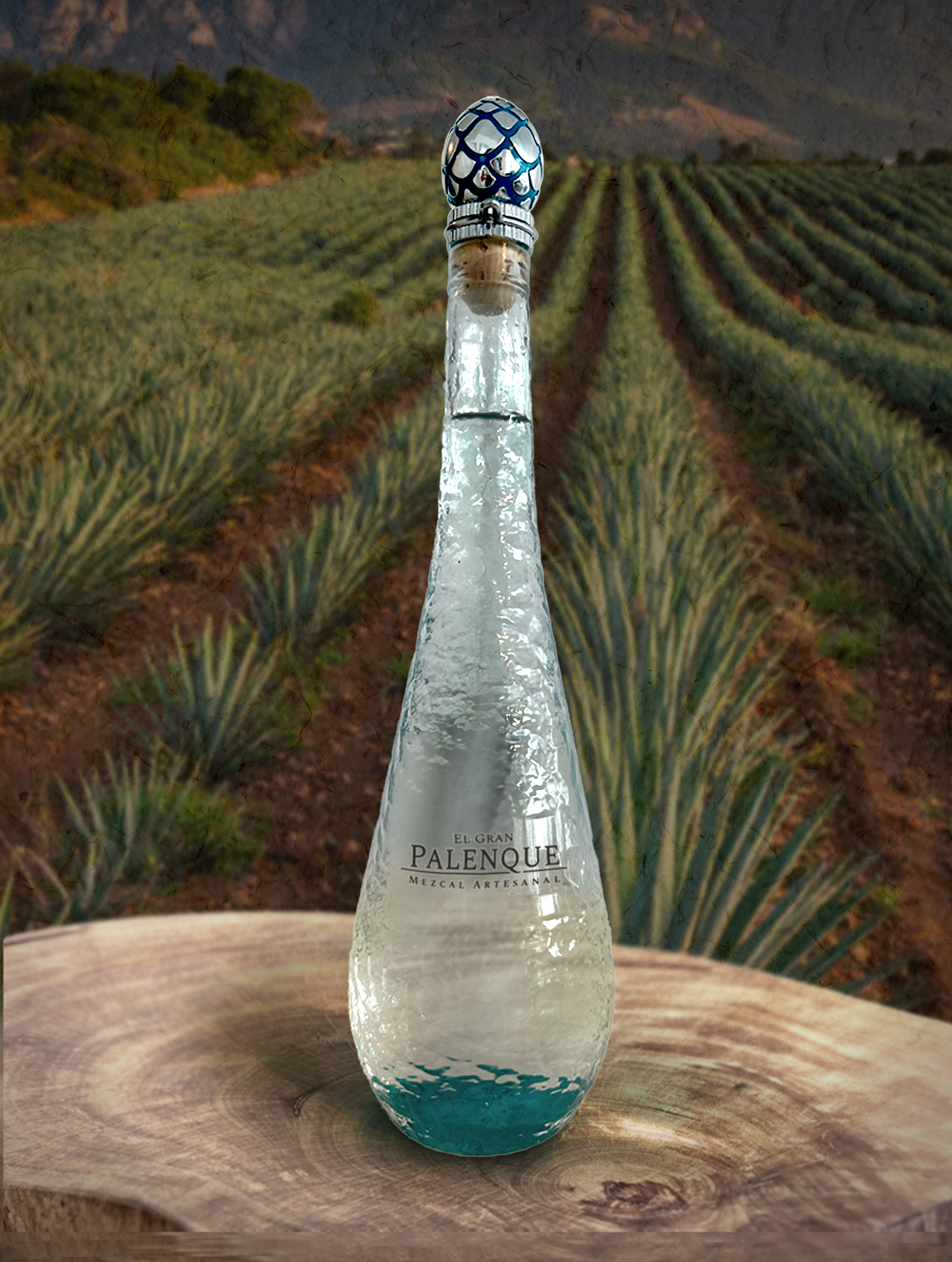 Palenque Mezcal Bottle 11